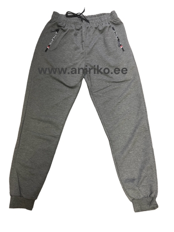 Meeste spordipüksid