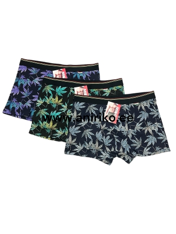 Meeste aluspüksid miego/41224/